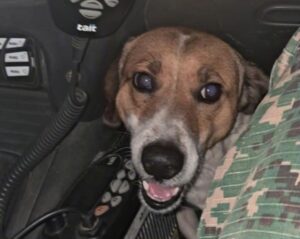 WhatsApp Image 2025-07-02 at 15.05.33