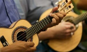 choro-2029328-article (1)