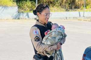 6b32df74-f65e-4ea3-9025-658f896b6909