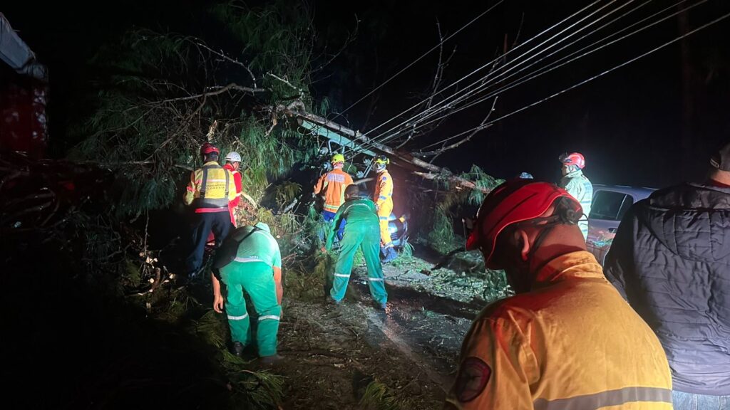 6db8dd95-873a-4855-971d-28e9d228ce62