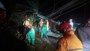 6db8dd95-873a-4855-971d-28e9d228ce62