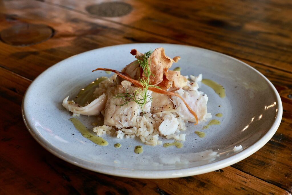 54918332537_578297e264_o