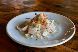 54918332537_578297e264_o