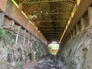 WhatsApp Image 2025-12-11 at 09.57.59