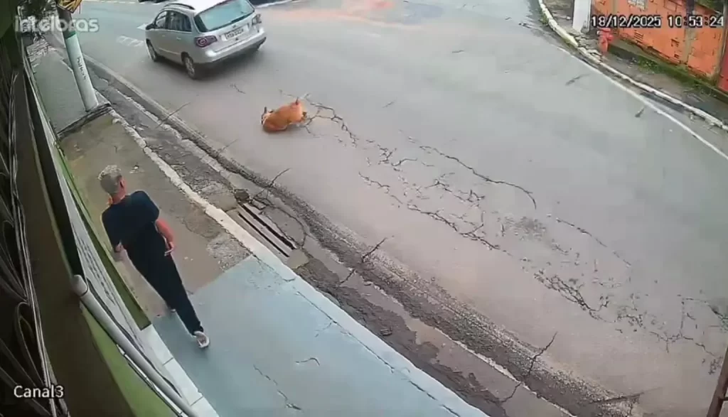 WhatsApp-Image-2025-12-18-at-14.06.45-1536x881