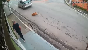 WhatsApp-Image-2025-12-18-at-14.06.45-1536x881