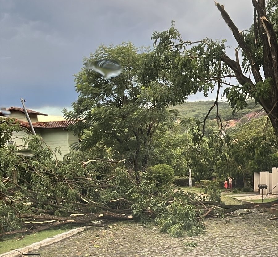 e71ee5f8-23fa-4413-bc42-0dac9a8d2612