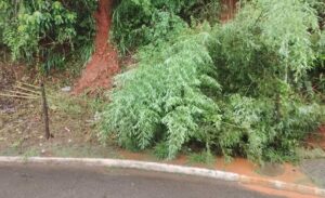 2281ded5-e8fa-451a-aa87-26e2a6368f52