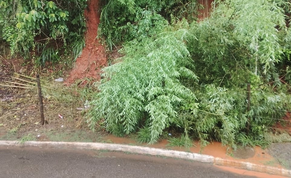 2281ded5-e8fa-451a-aa87-26e2a6368f52