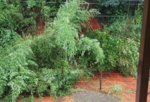 WhatsApp Image 2026-01-07 at 14.26.05