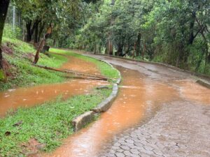 WhatsApp Image 2026-01-22 at 08.55.16