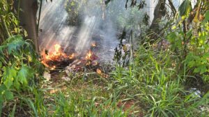 195b0b47-7bfc-4303-8046-51c3a890d8f1