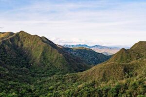 WhatsApp-Image-2021-06-09-at-17.02.39-768x512