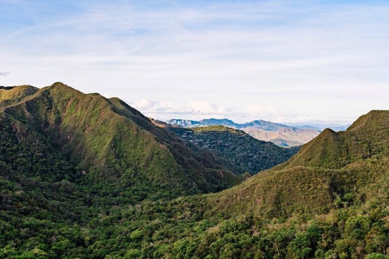 WhatsApp-Image-2021-06-09-at-17.02.39-768x512