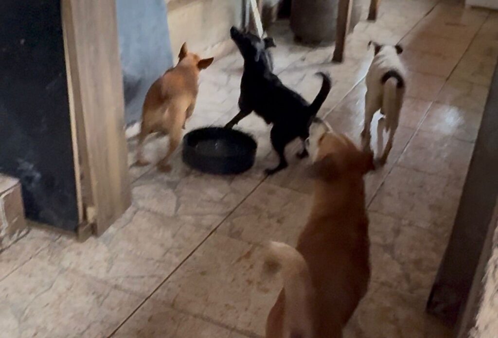 WhatsApp Image 2026-02-05 at 08.58.28