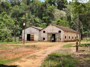 WhatsApp Image 2026-02-09 at 11.47.03