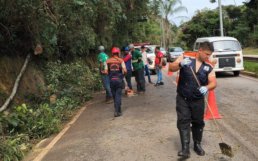 WhatsApp Image 2026-02-09 at 16.31.05