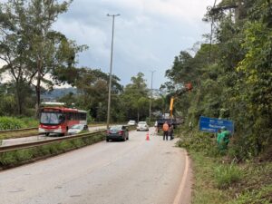 WhatsApp Image 2026-02-10 at 14.38.34