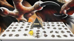 WhatsApp Image 2026-02-13 at 01.28.09