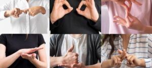 libras1-qp43a5ihypg0mb7rmo5ijq6ge3b2bsd8lu0t0ge0t0