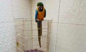 WhatsApp Image 2026-03-18 at 18.38.22