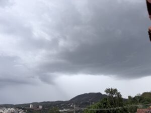 IMG_3543